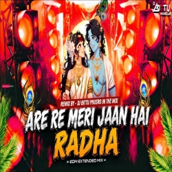 ARE RE MERI JAAN HAI RADHA EDM TRANCE MIX DJ BITTU PHUSRO Mp3 Song