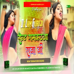 Sent Gamkauwa Raja Ji - BoAt Signature Sound Mix -- Dj Lkm Guruji Neamatpur Mp3 Song