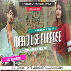 Tora Dil Se Purpose Karahi Edm Vibration Dj SHOBHIT Bokaro Mp3 Song