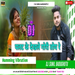 Palat Ke Dekhle Gori Dehati Vibration Mix Dj Sunil Mp3 Song