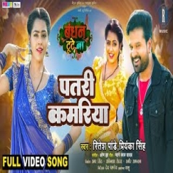 Patari Kamariya Me Dhani Rang Ke Sariya Mp3 Song Mp3 Song