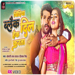 Ae Dhaniya Bindiya Black Dil Hack Karata Mp3 Song Mp3 Song