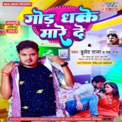 Palang Ke Kor Par Gor Dhake Mare De (Bullet Raja, Neha Raj) 2023 Mp3 Song Mp3 Song