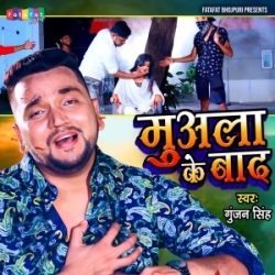 Ab Ka Aibu Ae Jaan Hamara Marla Ke Baad Me (Gunjan Singh) 2023 Mp3 Song Mp3 Song