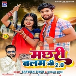 Machhari Balam Ji 2 (Sarvesh Singh, Shivani Singh) 2024 Mp3 Song Mp3 Song