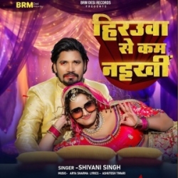 Ae Raja Rauwa Hirowa Se Kam Naikhi (Shivani Singh) 2024 Mp3 Song Mp3 Song